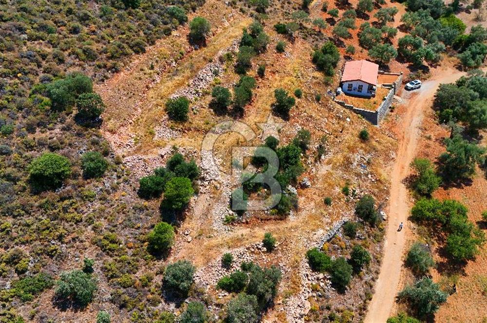 DATÇA – PALAMUTBÜKÜ’NDE KAÇIRILMAYACAK YATIRIM FIRSATI!
