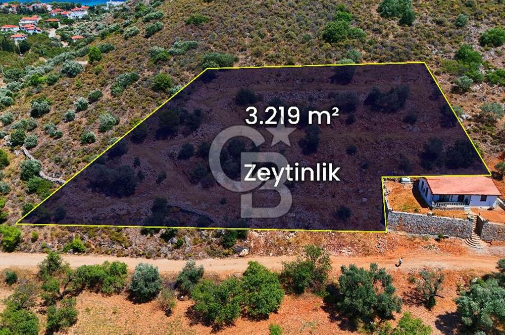 DATÇA – PALAMUTBÜKÜ’NDE KAÇIRILMAYACAK YATIRIM FIRSATI!