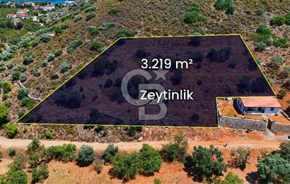 DATÇA – PALAMUTBÜKÜ’NDE KAÇIRILMAYACAK YATIRIM FIRSATI!