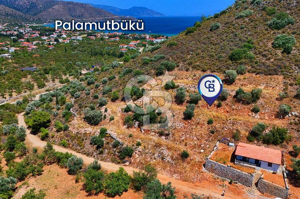 DATÇA – PALAMUTBÜKÜ’NDE KAÇIRILMAYACAK YATIRIM FIRSATI!