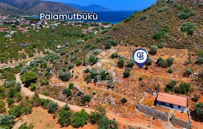 DATÇA – PALAMUTBÜKÜ’NDE KAÇIRILMAYACAK YATIRIM FIRSATI!