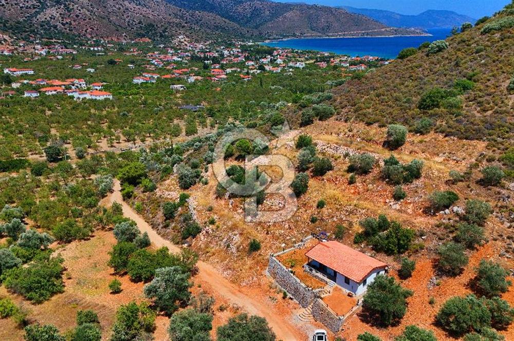 DATÇA – PALAMUTBÜKÜ’NDE KAÇIRILMAYACAK YATIRIM FIRSATI!