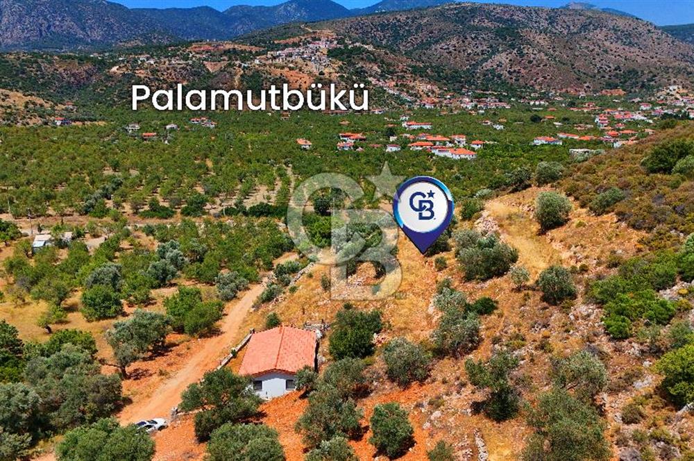 DATÇA – PALAMUTBÜKÜ’NDE KAÇIRILMAYACAK YATIRIM FIRSATI!