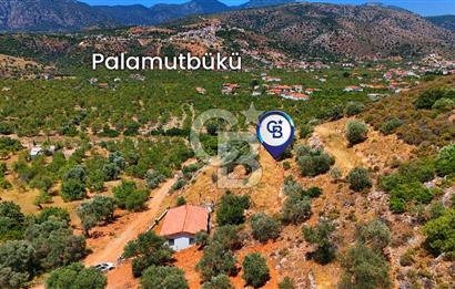 DATÇA – PALAMUTBÜKÜ’NDE KAÇIRILMAYACAK YATIRIM FIRSATI!