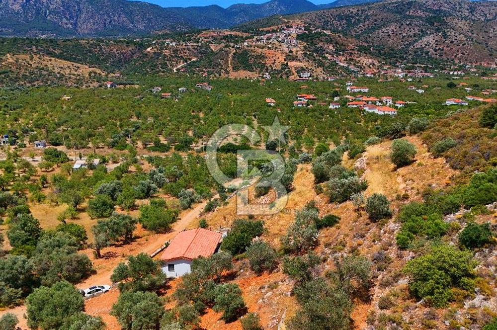 DATÇA – PALAMUTBÜKÜ’NDE KAÇIRILMAYACAK YATIRIM FIRSATI!