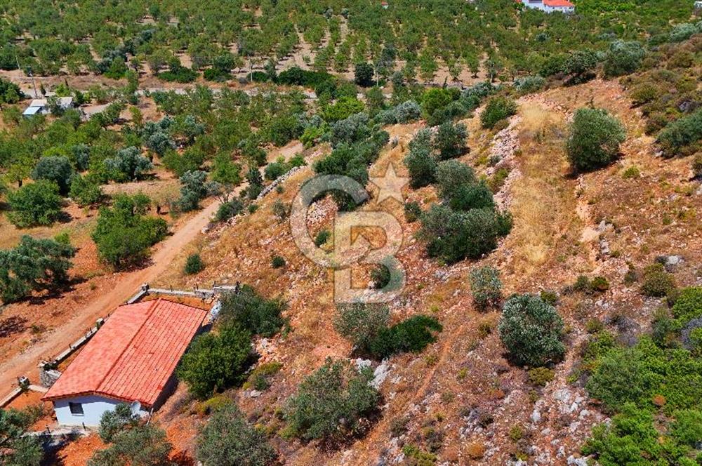 DATÇA – PALAMUTBÜKÜ’NDE KAÇIRILMAYACAK YATIRIM FIRSATI!