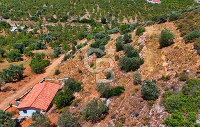 DATÇA – PALAMUTBÜKÜ’NDE KAÇIRILMAYACAK YATIRIM FIRSATI!