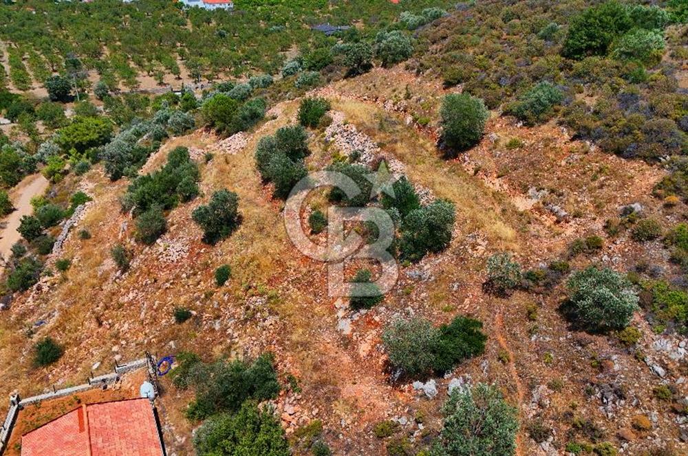 DATÇA – PALAMUTBÜKÜ’NDE KAÇIRILMAYACAK YATIRIM FIRSATI!