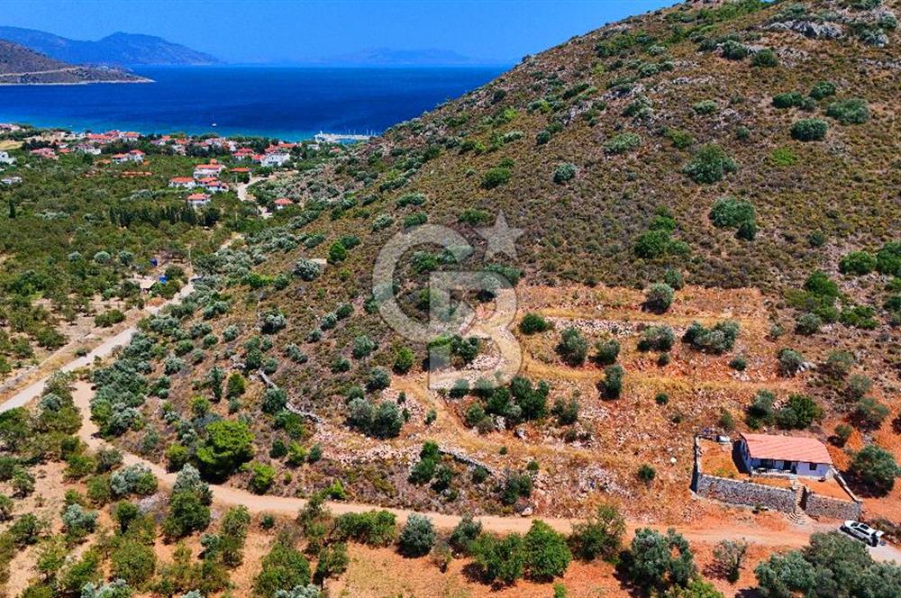 DATÇA – PALAMUTBÜKÜ’NDE KAÇIRILMAYACAK YATIRIM FIRSATI!