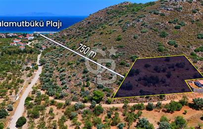 DATÇA – PALAMUTBÜKÜ’NDE KAÇIRILMAYACAK YATIRIM FIRSATI!