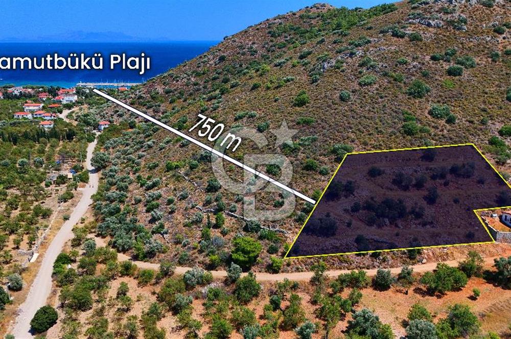 DATÇA – PALAMUTBÜKÜ’NDE KAÇIRILMAYACAK YATIRIM FIRSATI!