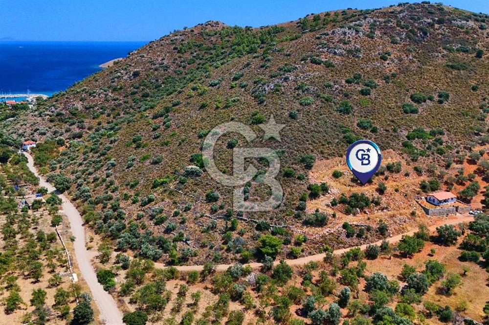 DATÇA – PALAMUTBÜKÜ’NDE KAÇIRILMAYACAK YATIRIM FIRSATI!