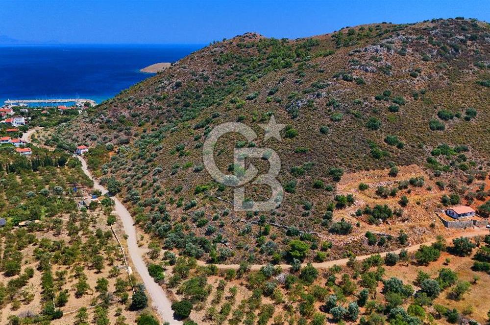 DATÇA – PALAMUTBÜKÜ’NDE KAÇIRILMAYACAK YATIRIM FIRSATI!