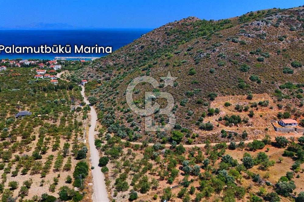 DATÇA – PALAMUTBÜKÜ’NDE KAÇIRILMAYACAK YATIRIM FIRSATI!