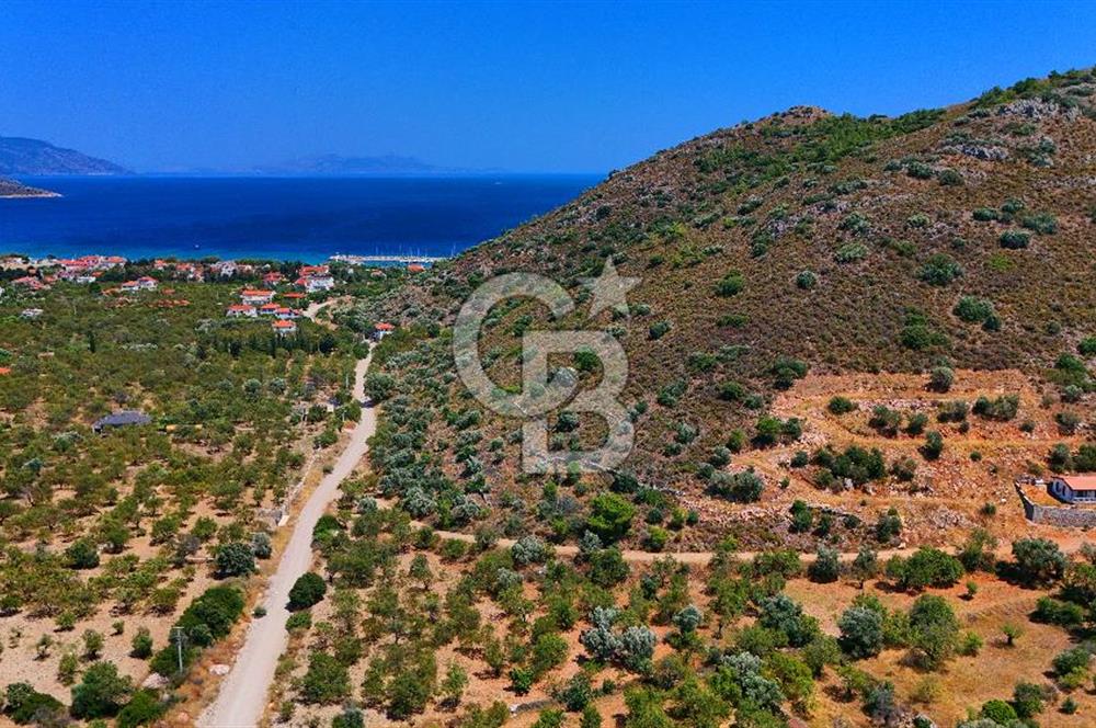 DATÇA – PALAMUTBÜKÜ’NDE KAÇIRILMAYACAK YATIRIM FIRSATI!