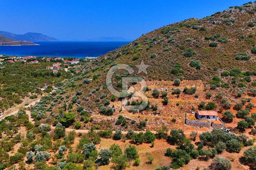 DATÇA – PALAMUTBÜKÜ’NDE KAÇIRILMAYACAK YATIRIM FIRSATI!