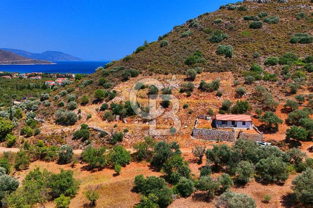 DATÇA – PALAMUTBÜKÜ’NDE KAÇIRILMAYACAK YATIRIM FIRSATI!
