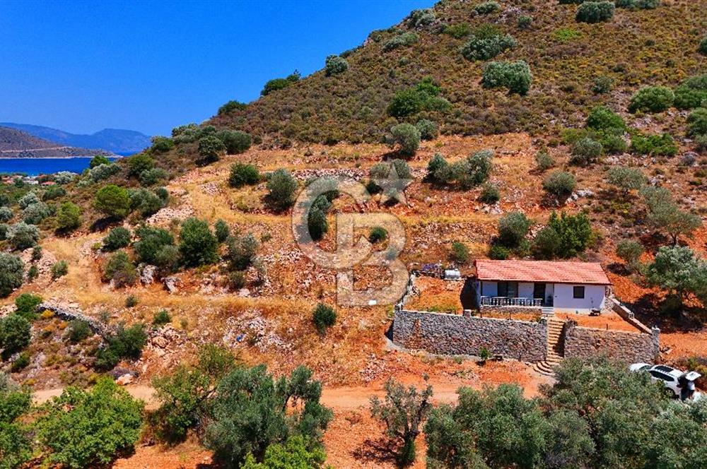 DATÇA – PALAMUTBÜKÜ’NDE KAÇIRILMAYACAK YATIRIM FIRSATI!
