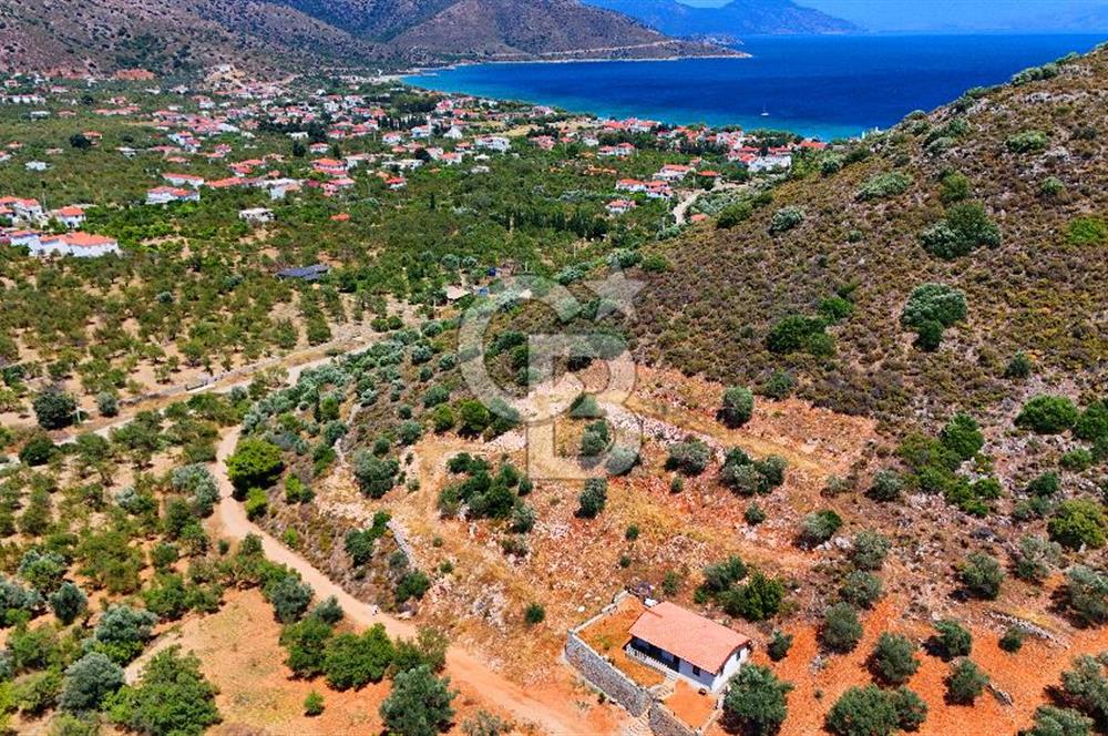 DATÇA – PALAMUTBÜKÜ’NDE KAÇIRILMAYACAK YATIRIM FIRSATI!
