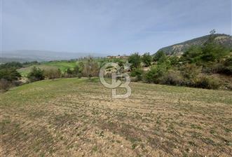 Bolu/Göynük/Ekincilerde Köy Girişinde Satılık 2593 M2 Tarla