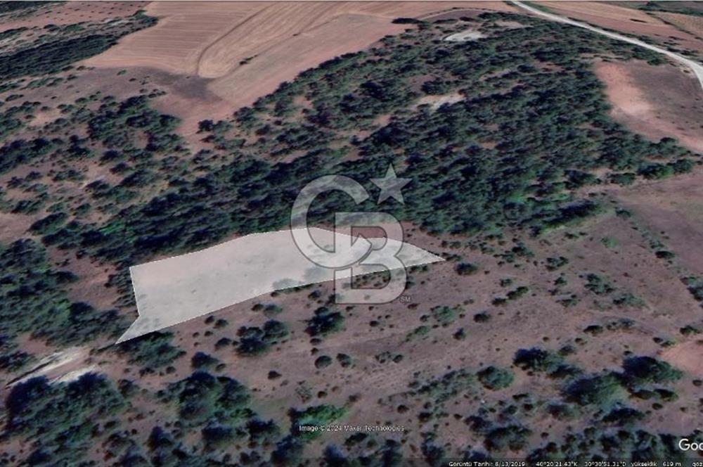 Taraklı Hacıaliler Köyünde Satılık 3346 M2 Tarla