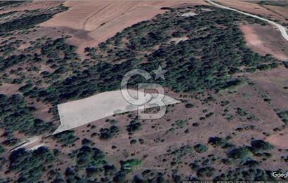 Taraklı Hacıaliler Köyünde Satılık 3346 M2 Tarla
