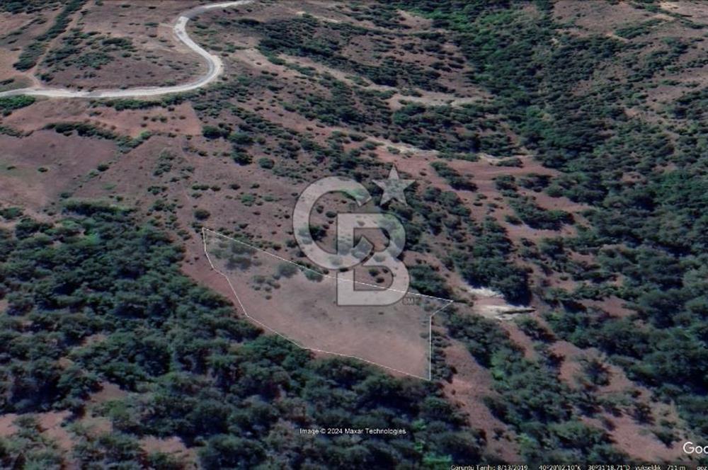 Taraklı Hacıaliler Köyünde Satılık 3346 M2 Tarla