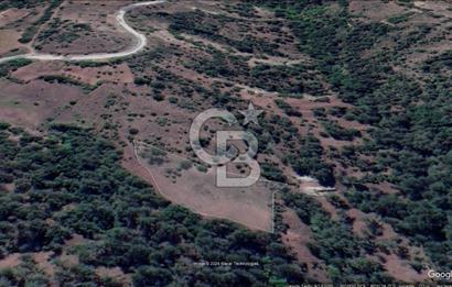 Taraklı Hacıaliler Köyünde Satılık 3346 M2 Tarla