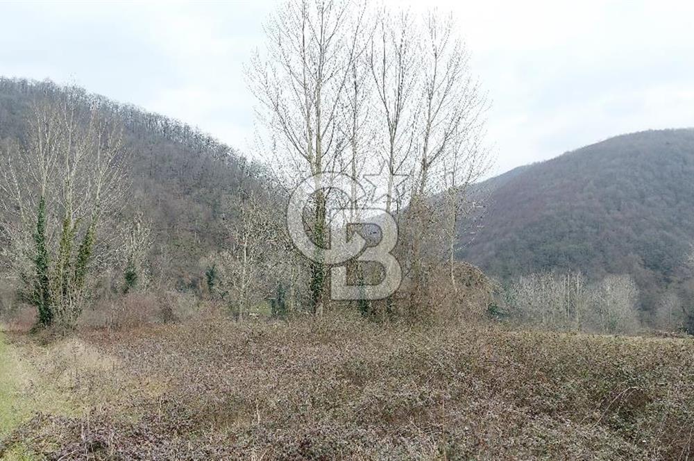 Yol-Su-Elektrik 3'ü 1 Arada 3103 m2 Satılık Tarla