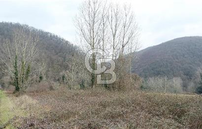 Yol-Su-Elektrik 3'ü 1 Arada 3103 m2 Satılık Tarla