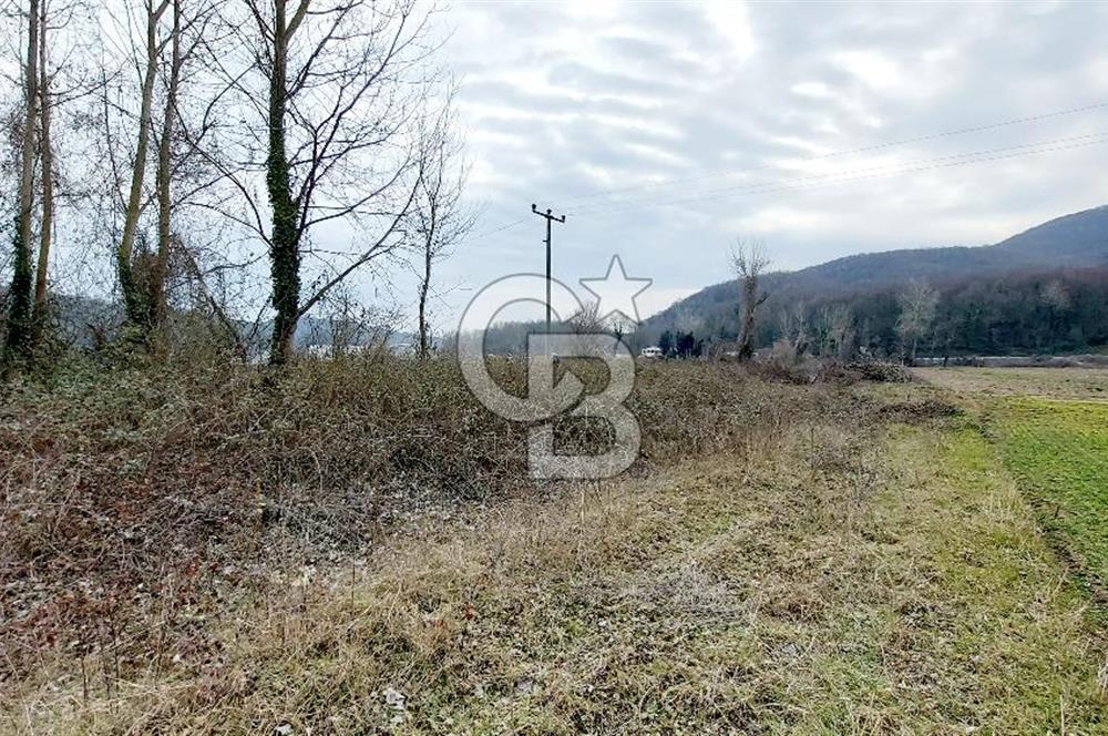 Yol-Su-Elektrik 3'ü 1 Arada 3103 m2 Satılık Tarla