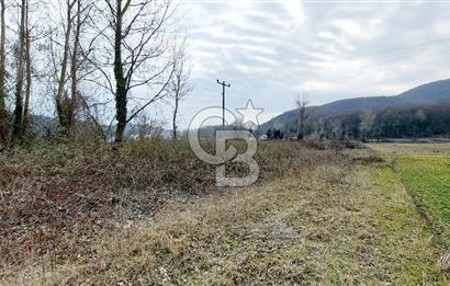 Yol-Su-Elektrik 3'ü 1 Arada 3103 m2 Satılık Tarla