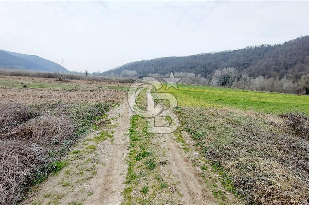 Yol-Su-Elektrik 3'ü 1 Arada 3103 m2 Satılık Tarla