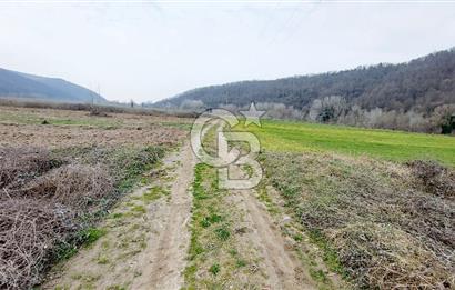 Yol-Su-Elektrik 3'ü 1 Arada 3103 m2 Satılık Tarla