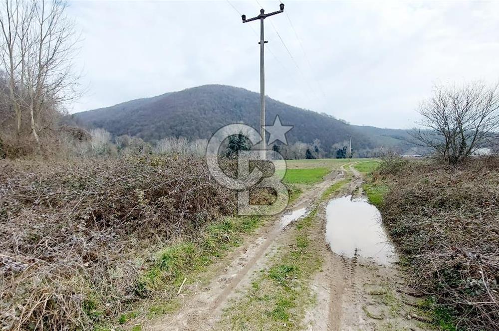 Yol-Su-Elektrik 3'ü 1 Arada 3103 m2 Satılık Tarla