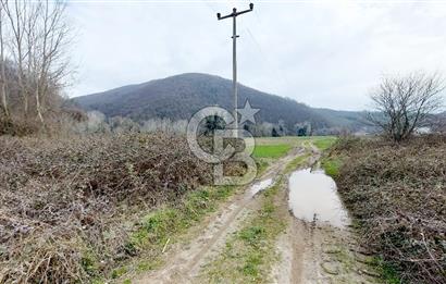 Yol-Su-Elektrik 3'ü 1 Arada 3103 m2 Satılık Tarla