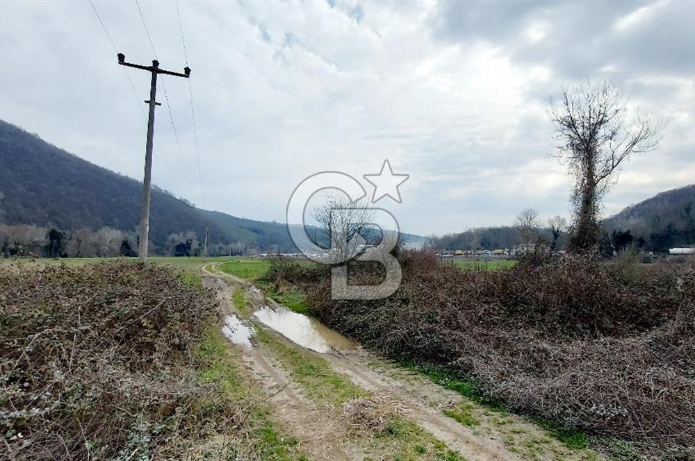 Yol-Su-Elektrik 3'ü 1 Arada 3103 m2 Satılık Tarla