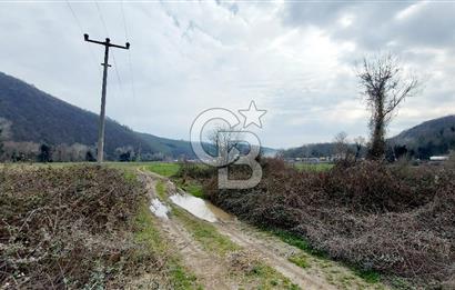 Yol-Su-Elektrik 3'ü 1 Arada 3103 m2 Satılık Tarla