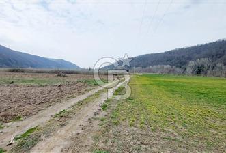 Yol-Su-Elektrik 3'ü 1 Arada 3103 m2 Satılık Tarla