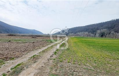 Yol-Su-Elektrik 3'ü 1 Arada 3103 m2 Satılık Tarla