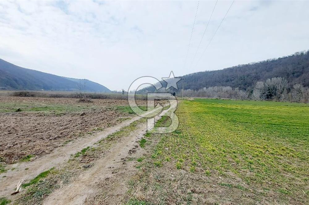 Yol-Su-Elektrik 3'ü 1 Arada 3103 m2 Satılık Tarla