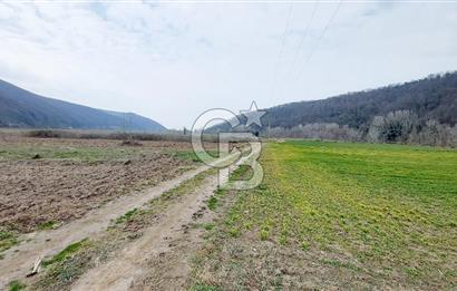 Yol-Su-Elektrik 3'ü 1 Arada 3103 m2 Satılık Tarla