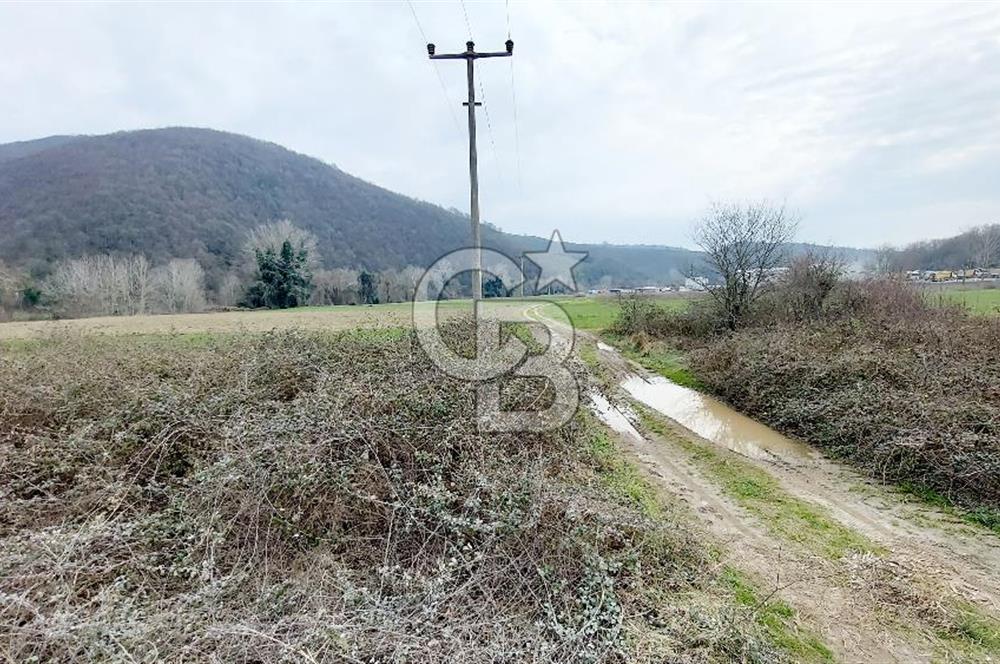 Yol-Su-Elektrik 3'ü 1 Arada 3103 m2 Satılık Tarla