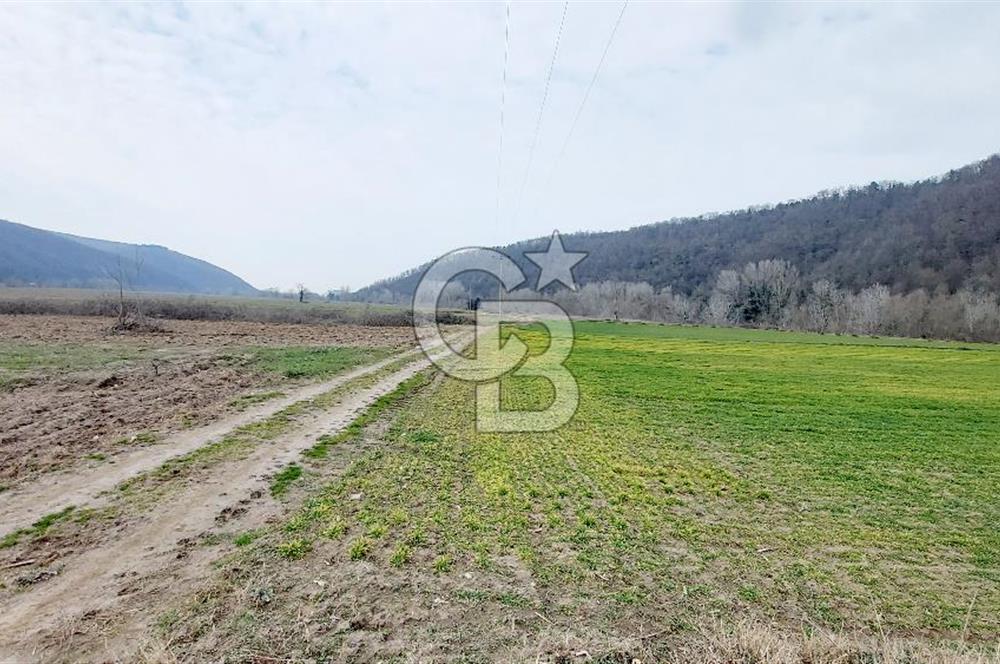 Yol-Su-Elektrik 3'ü 1 Arada 3103 m2 Satılık Tarla