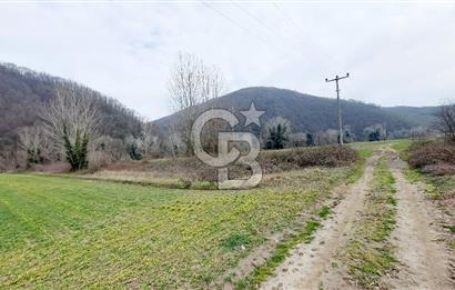 Yol-Su-Elektrik 3'ü 1 Arada 3103 m2 Satılık Tarla
