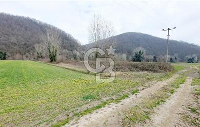Yol-Su-Elektrik 3'ü 1 Arada 3103 m2 Satılık Tarla