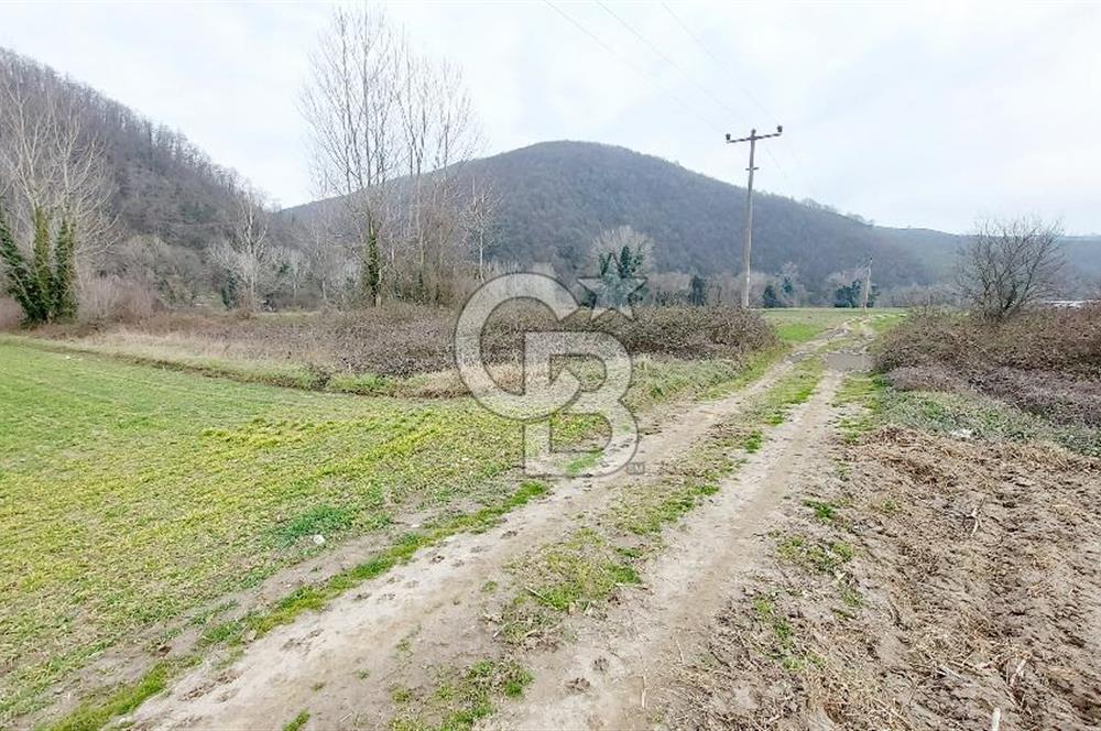 Yol-Su-Elektrik 3'ü 1 Arada 3103 m2 Satılık Tarla