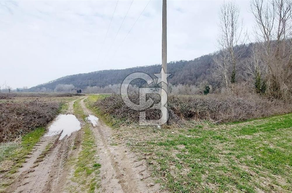 Yol-Su-Elektrik 3'ü 1 Arada 3103 m2 Satılık Tarla