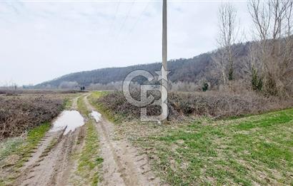 Yol-Su-Elektrik 3'ü 1 Arada 3103 m2 Satılık Tarla