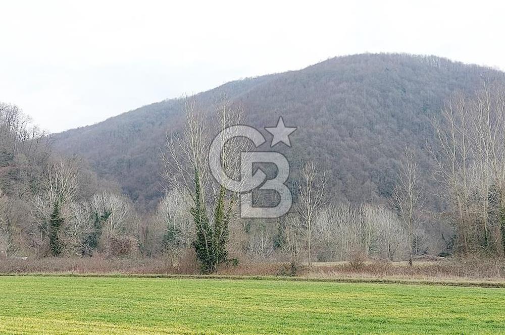 Yol-Su-Elektrik 3'ü 1 Arada 3103 m2 Satılık Tarla